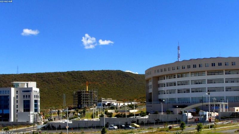 红果短剧官网首页免费短剧在线观看界面展示